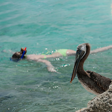 can you snorkel on captiva island